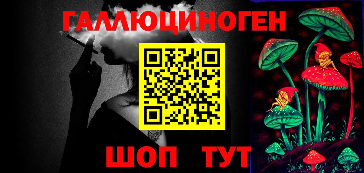 Галлюциногенные грибы GOLDEN TEACHER  Вход с VPN  Тара  Псилоцибиновые грибы MAGIC MUSHROOMS 