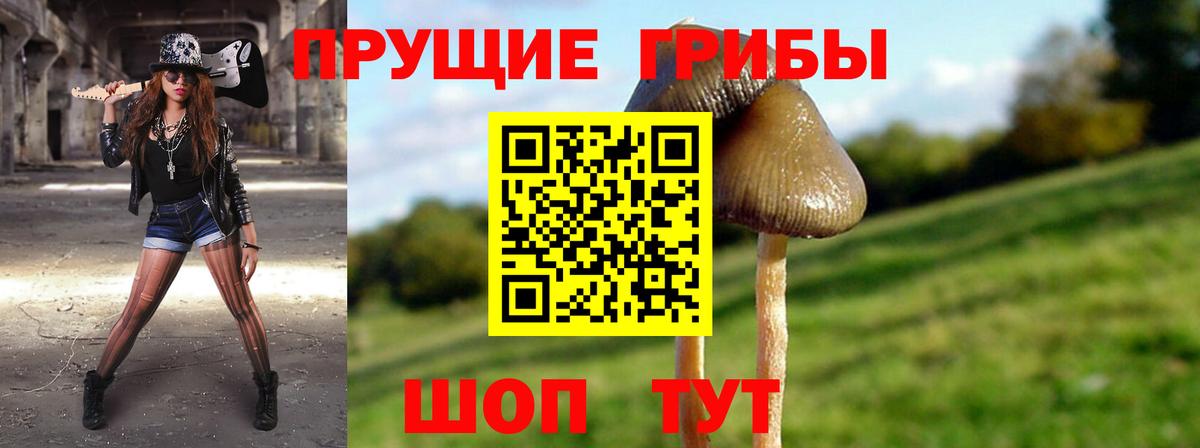 Галлюциногенные грибы мухоморы Тара