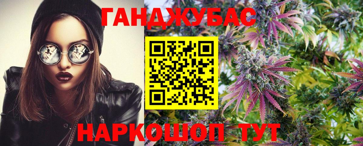 Канабис планчик Тара